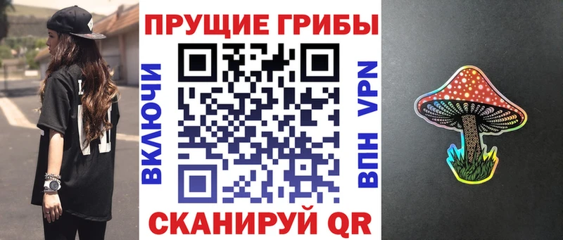 KRAKEN вход маркетплейс Telegram Псилоцибиновые грибы Magic Shrooms Чегем